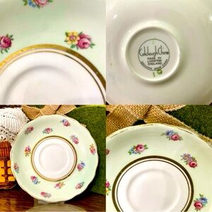 Colclough Bone China Saucer Lt Green Scallop Rim, Scatter Flowers Gold Trim